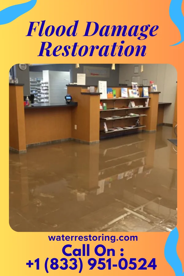 Flood Damage Restoration in The Hills, TX