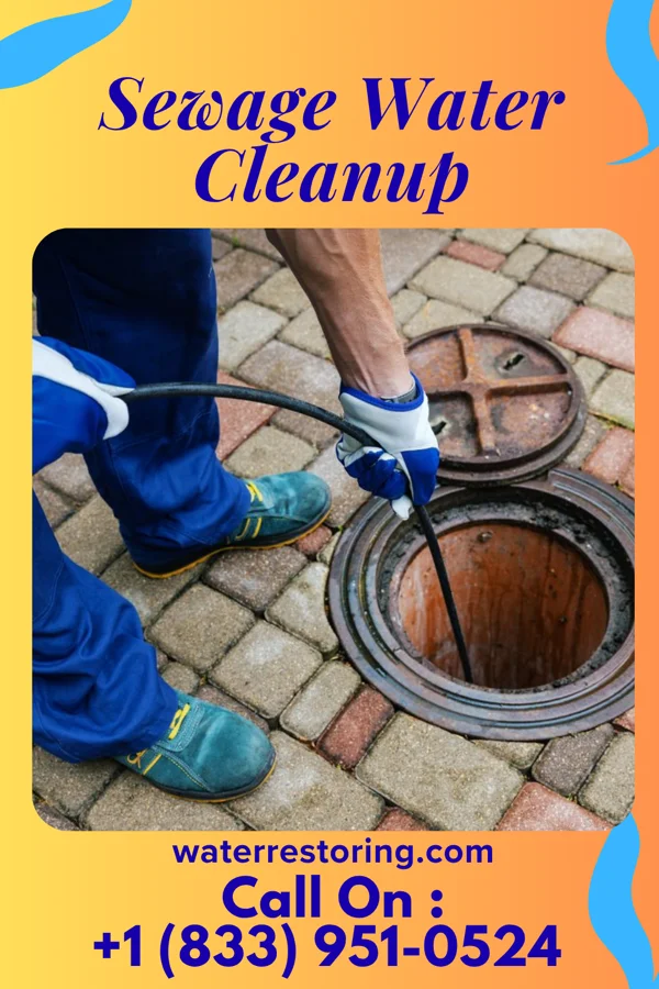 Sewage Water Cleanup in The Hills, TX